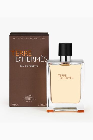 Terre Hermès Toilette - Eau de Erkek Tester Parfüm 100 ML